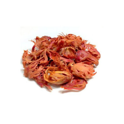 জয়ত্রী Jotrik (Mace Javitri)